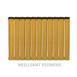 رادیاتور آلومینیومی آنیت 11 پره مدل برلیان پایونیر طلایی