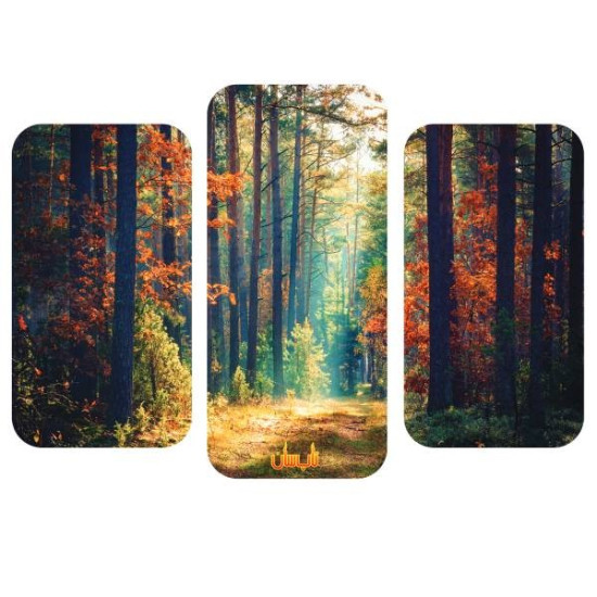 خرید رادیاتور برقی شیشه ای چند تکه تاپ سان D-920 چیدمان 8 خرید رادیاتور برقی شیشه ای چند تکه تاپ سان D-920 چیدمان 8