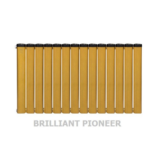 رادیاتور آلومینیومی آنیت 14 پره مدل برلیان پایونیر طلایی