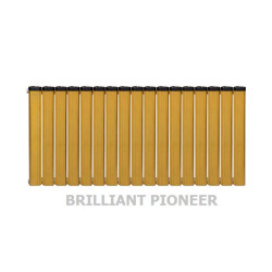 رادیاتور آلومینیومی آنیت 17 پره مدل برلیان پایونیر طلایی